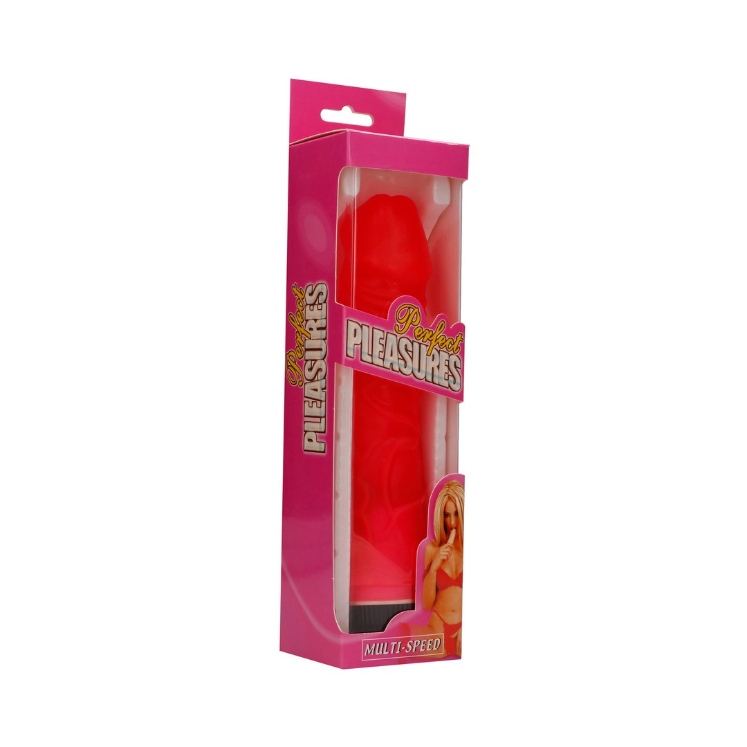 PERFECT PLEASURE - MULTISPEED VIBRATOR - 9 / 22 CM