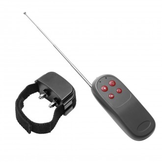 COCK SHOCK - ELECTRO STIMULATION COCKRING WITH REMOTE CONTROL