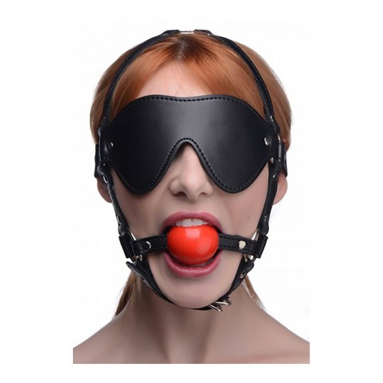 ST BLINDFOLD HARNESS WITH BALL GAG