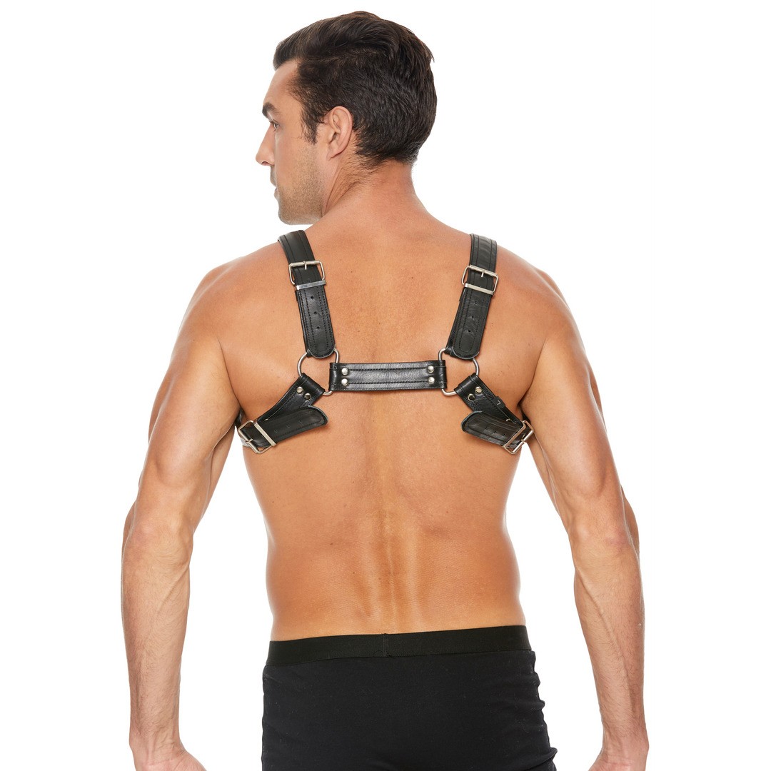 LEATHER BULLDOG HARNESS WITH BUCKLES - L/XL