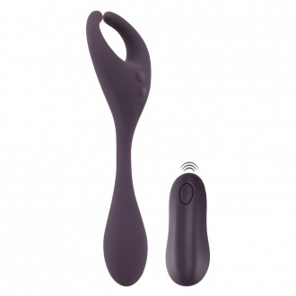 REMOTE CONTROLLED COUPLE'S VIBRATOR