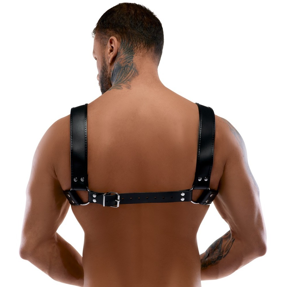 HARNESS