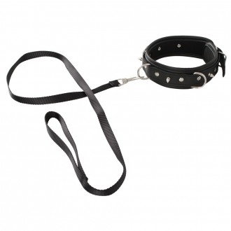 COLLAR AND LEASH