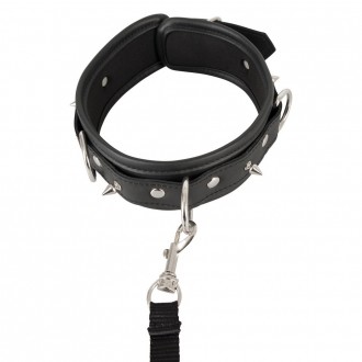 COLLAR AND LEASH