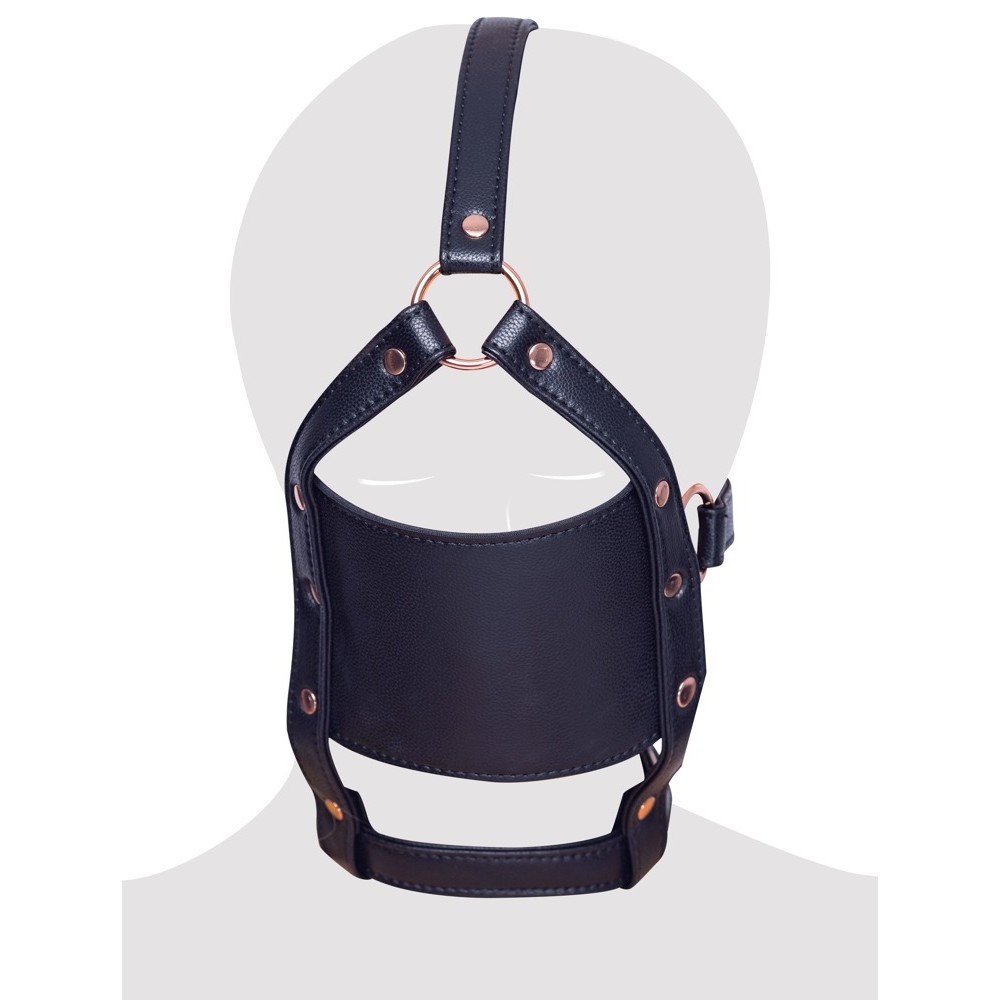 HEAD HARNESS WITH A GAG