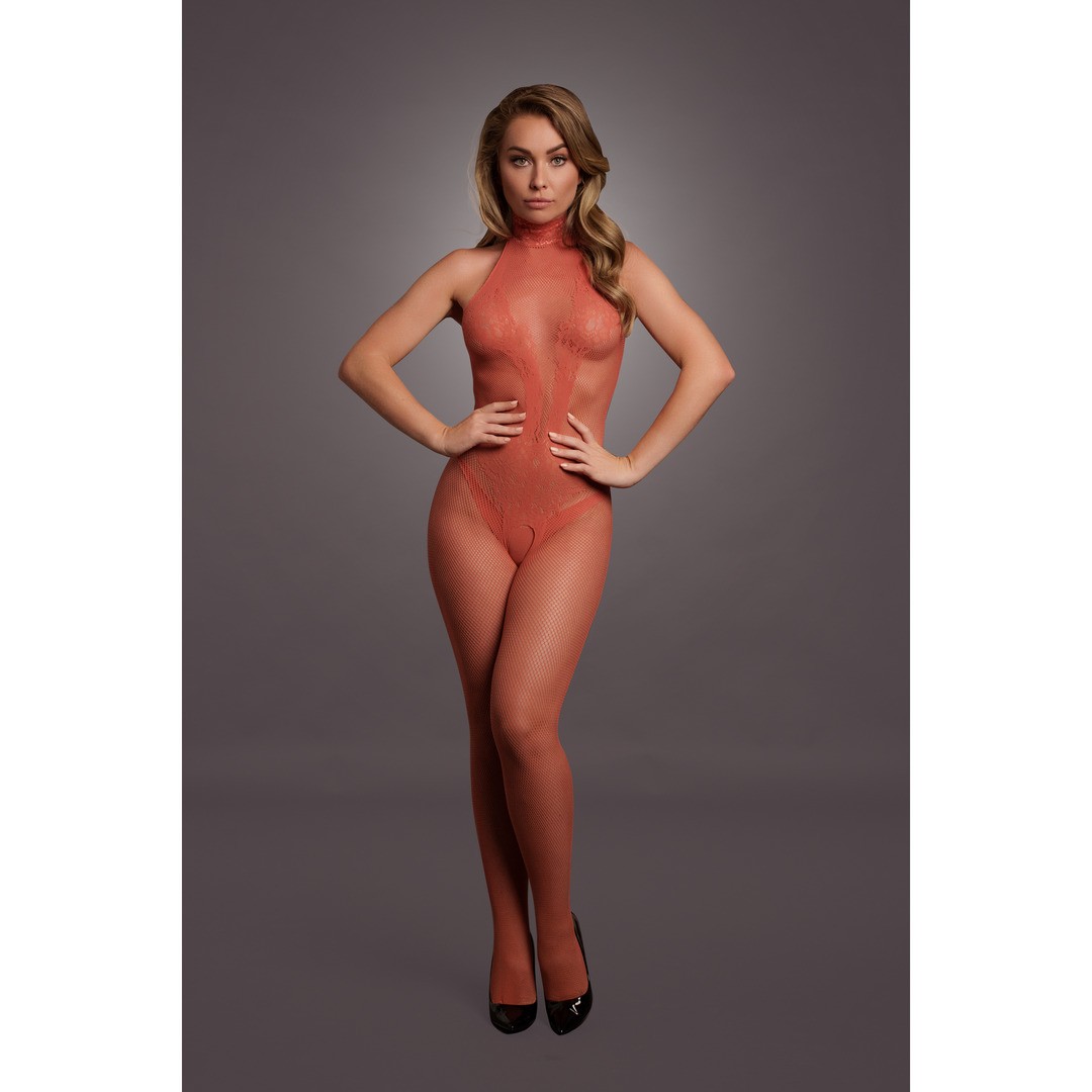 FISHNET AND LACE BODYSTOCKING - ONE SIZE